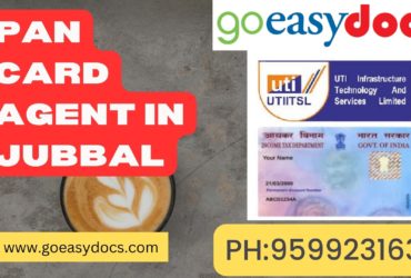 Pan Card Agent Consultant in Jubbal 8851415812