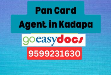 Pan Card Agent Consultant in Kadapa   8851415812