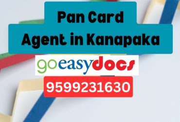 an Card Agent Consultant in Kanapaka 8851415812