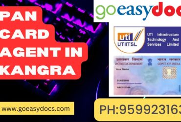 Pan Card Agent Consultant in Kangra 8851415812