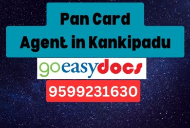 Pan Card Agent Consultant in Kankipadu 8851415812