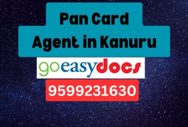 Pan Card Agent Consultant in Kanuru 8851415812