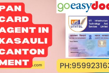 Pan Card Agent Consultant in Kasauli Cantonment 8851415812