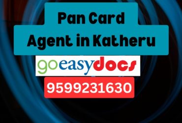 Pan Card Agent Consultant in Katheru 8851415812