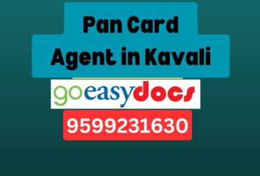 Pan Card Agent Consultant in Kavali 8851415812