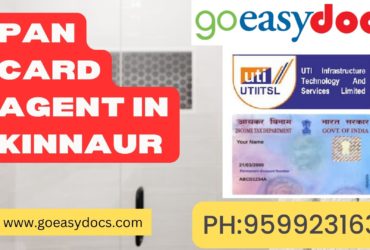 Pan Card Agent Consultant in Kinnaur 8851415812