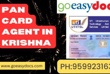 Pan Card Agent Consultant in Krishna 8851415812