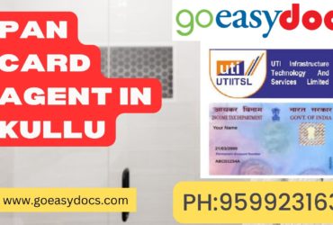 Pan Card Agent Consultant in Kullu 8851415812