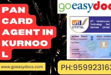 Pan Card Agent Consultant in Kurnool 8851415812