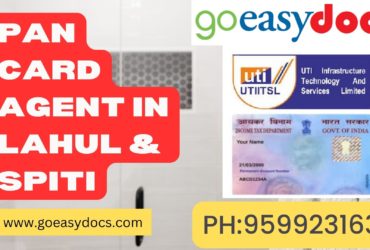 Pan Card Agent Consultant in Lahul & Spiti 8851415812