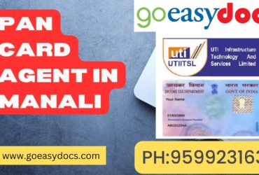 Pan Card Agent Consultant in Manali 8851415812