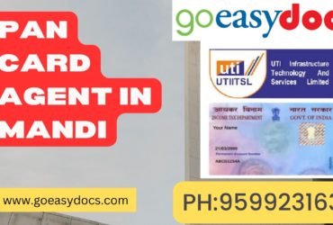 Pan Card Agent Consultant in Mandi 8851415812