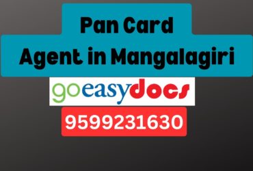 Pan Card Agent Consultant in Mangalagiri 8851415812