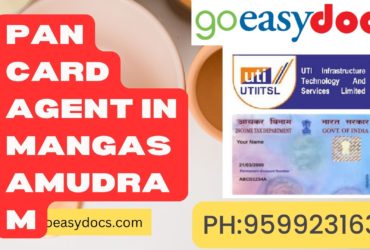 Pan Card Agent Consultant in Mangasamudram 8851415812