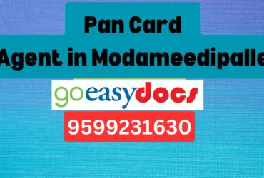 Pan Card Agent Consultant in Modameedipalle  8851415812