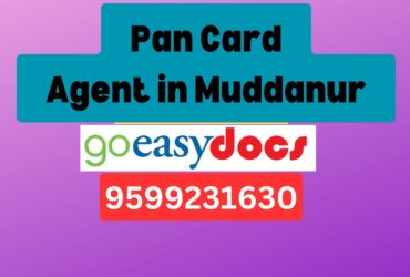 Pan Card Agent Consultant in Muddanur  8851415812