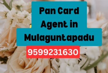 Pan Card Agent Consultant in Mulaguntapadu 8851415812