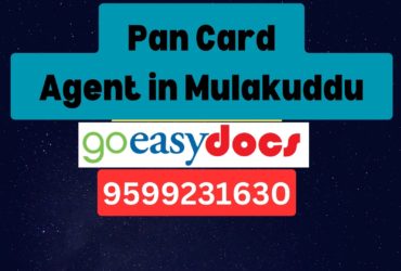 Pan Card Agent Consultant in Mulakuddu 8851415812