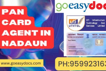 Pan Card Agent Consultant in Nadaun 8851415812