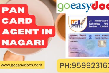 Pan Card Agent Consultant in Nagari 8851415812