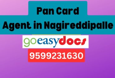 Pan Card Agent Consultant in Nagireddipalle  8851415812