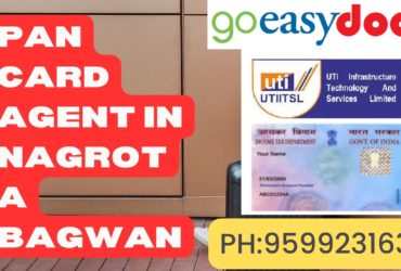 Pan Card Agent Consultant in Nagrota Bagwan 8851415812