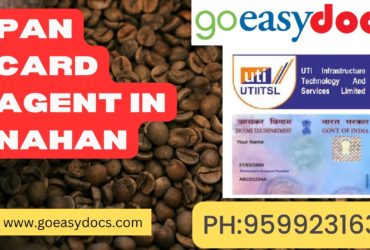 Pan Card Agent Consultant in Nahan 8851415812