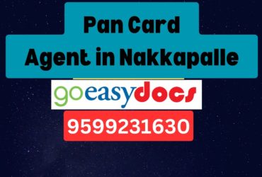 Pan Card Agent Consultant in Nakkapalle 8851415812