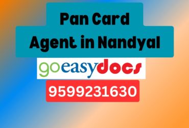 Pan Card Agent Consultant in Nandyal 8851415812