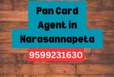 Pan Card Agent Consultant in Narasannapeta 8851415812