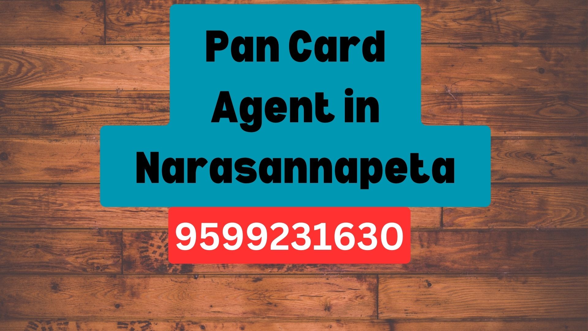 Pan Card Agent Consultant in Narasannapeta 8851415812