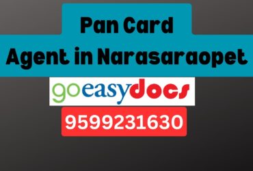 Pan Card Agent Consultant in Narasaraopet 8851415812