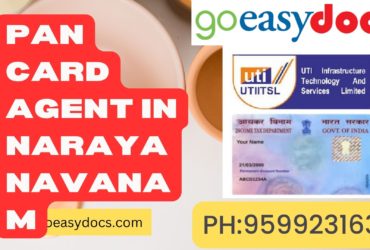 Pan Card Agent Consultant in Narayanapuram 8851415812