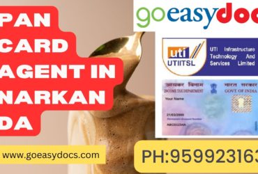 Pan Card Agent Consultant in Narkanda 8851415812