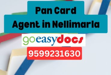 Pan Card Agent Consultant in Nellimarla 8851415812