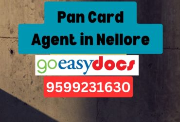 Pan Card Agent Consultant in Nellore 8851415812