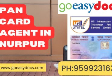 Pan Card Agent Consultant in Nurpur 8851415812