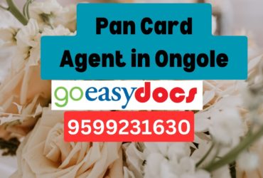 Pan Card Agent Consultant in Ongole 8851415812