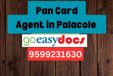 Pan Card Agent Consultant in Palacole  8851415812