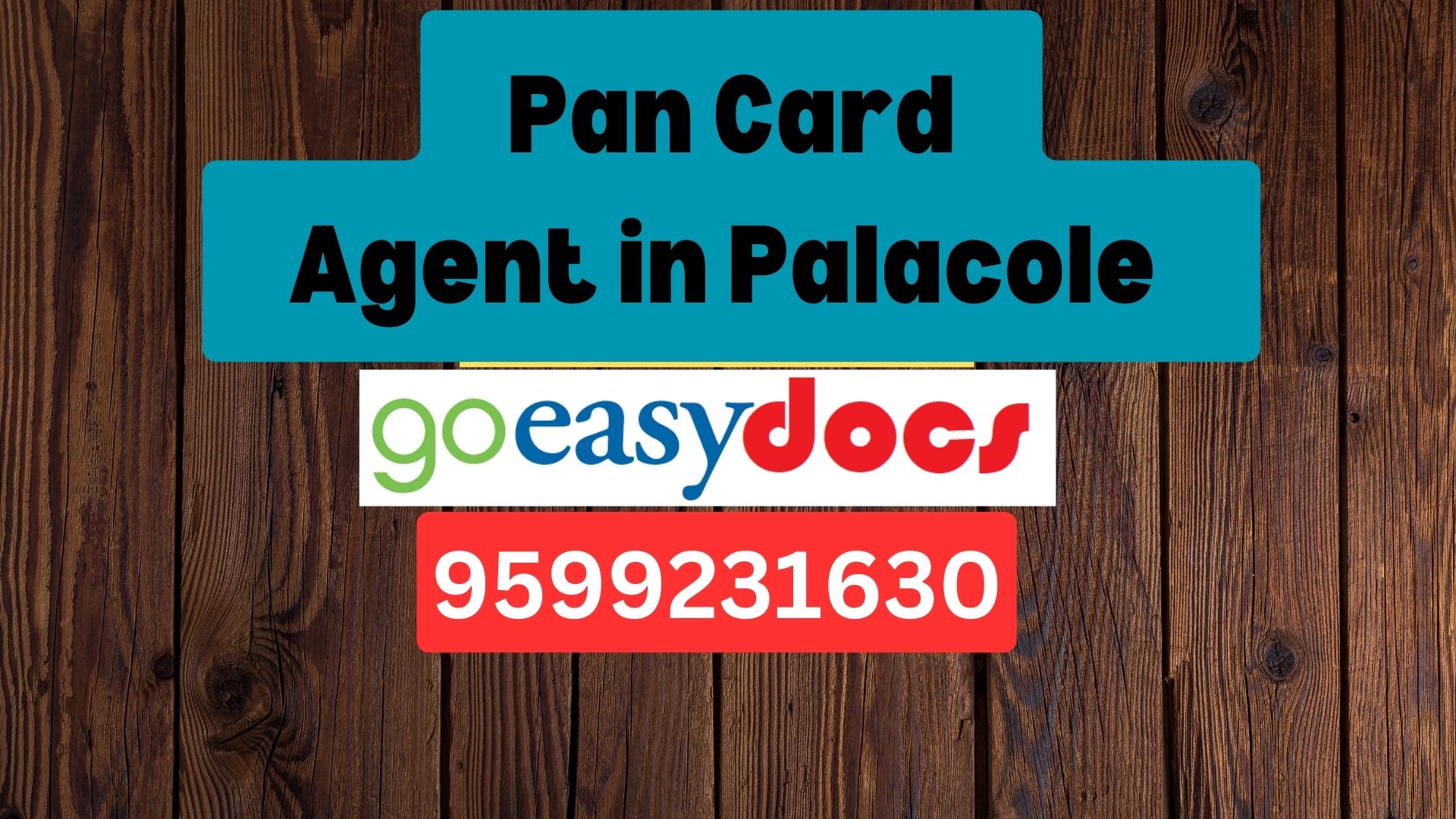 Pan Card Agent Consultant in Palacole  8851415812