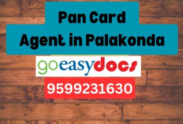 Pan Card Agent Consultant in Palakonda 8851415812