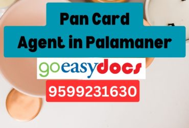 Pan Card Agent Consultant in Palamaner 8851415812