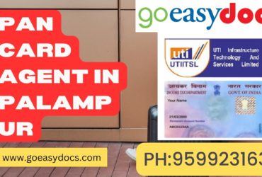 Pan Card Agent Consultant in Palampur 8851415812