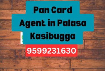 Pan Card Agent Consultant in Palasa Kasibugga 8851415812