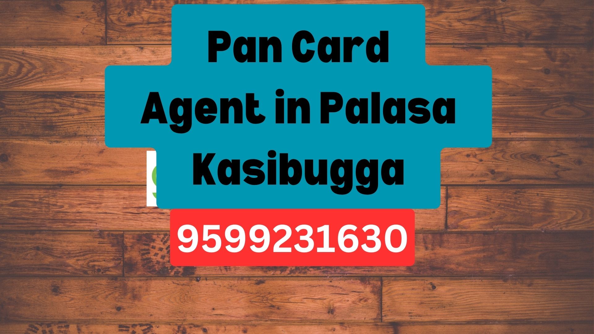 Pan Card Agent Consultant in Palasa Kasibugga 8851415812