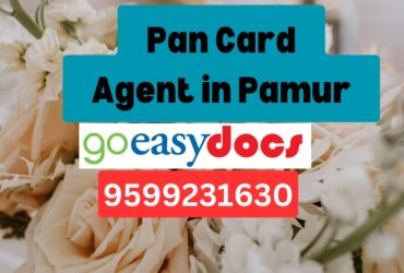 Pan Card Agent Consultant in Pamur 8851415812