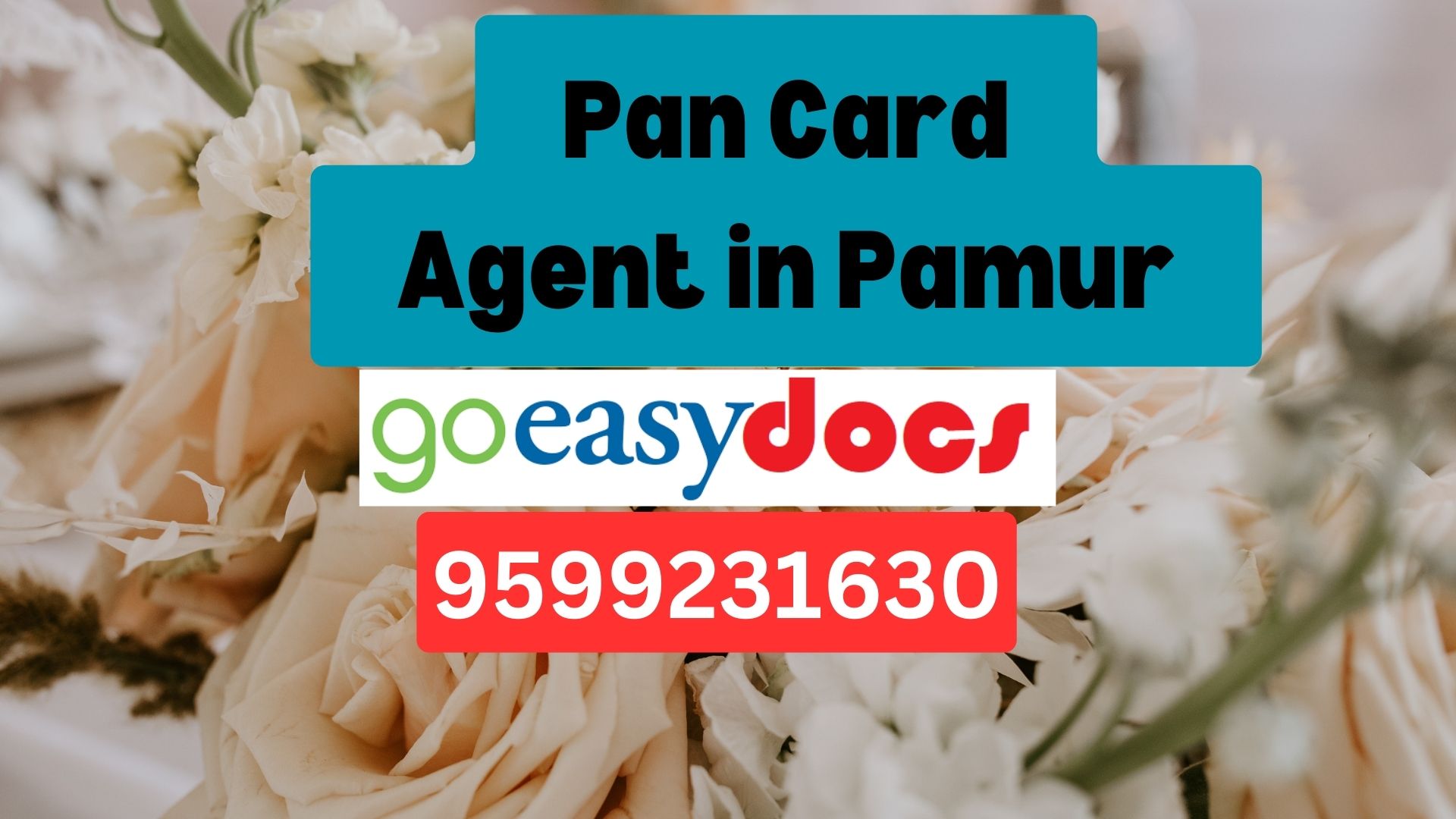 Pan Card Agent Consultant in Pamur 8851415812