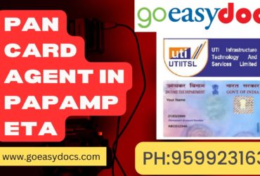 Pan Card Agent Consultant in Papampeta 8851415812