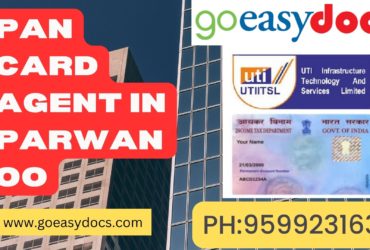 Pan Card Agent Consultant in Parwanoo 8851415812