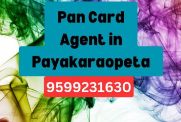 Pan Card Agent Consultant in Payakaraopeta 8851415812